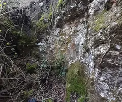 Fotografia de SERRA DEL MAS, AVENC SM-27 DE LA (2 de 5)