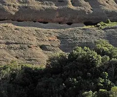 Photograph of BISBE, COVES DEL (1 of 1)