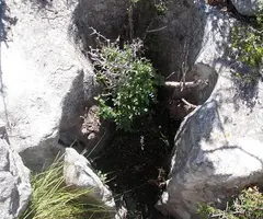 Fotografia de SERRAT DE LA MORELLA, AVENC SM-9 DEL (1 de 2)