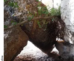 Photographie de GOTER, BALMA DEL (2 sur 3)