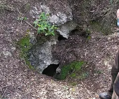 Fotografia de VENT, AVENC DEL (1 de 5)