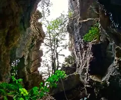 Fotografia de CAMBRA DE LES MONGES (4 de 5)