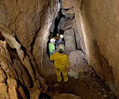 Photographie de LLOBERES, COVA DE LES (3 sur 5)