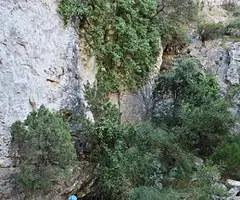 Photograph of VALL CLOSA, COVA DE LA (4 of 6)