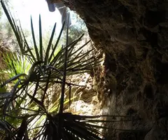 Fotografia de COMES, AVENC DE LES (2 de 4)