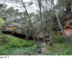 Fotografía de PASCOL, COVES DEL (1 de 10)