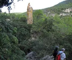 Photograph of BOIRA, FORAT DE LA (1 of 8)