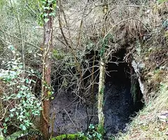 Fotografia de PEPET, BÒFIA D'EN (1 de 8)