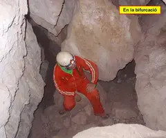 Fotografía de PASSANT DEL FAIG, COVES DEL (4 de 9)