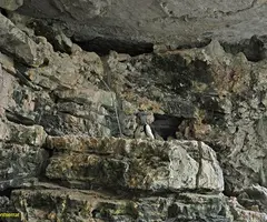 Fotografia de MAS VILAR, COVA DE (2 de 4)