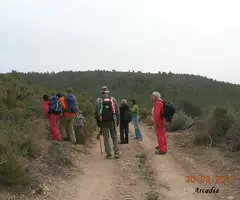 Fotografía de TRAÇA, COVA DEL (1 de 9)