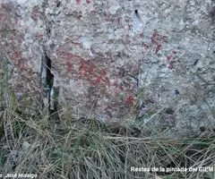 Photograph of MONTSE TRAVÉ, AVENC (1 of 6)