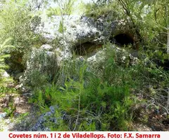 Fotografia de VILADELLOPS, COVETES DE (1 de 4)