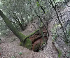 Fotografía de MUNTADA, AVENC PETIT DE LA (2 de 5)