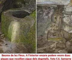 Fotografia de FLEUS, BALMA DE LES (4 de 4)