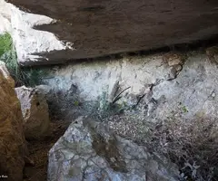 Fotografia de CARRASQUES, COVA DE LES (2 de 2)