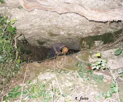 Photographie de ARTIGA, POUETONS DE L' (2 sur 2)