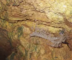 Photograph of CIENTÍFICS, AVENC DELS (9 of 9)