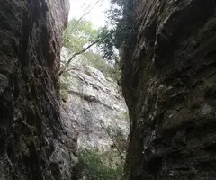 Fotografia de MOTLLATS DE LA PONA, AVENCOTS DELS (2 de 6)
