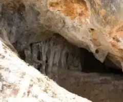 Photograph of AUMIDIELLA GRAN, COVA DE L' (1 of 1)
