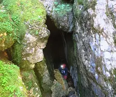 Fotografia de RASETS, BÒFIA DE (8 de 8)