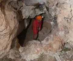 Fotografía de CAL PASCOL, COVA DE (2 de 6)
