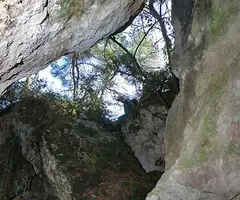 Photograph of MAMUT, COVES DEL (8 of 8)