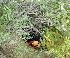 Fotografia de CATAPLANELL, AVENC DEL (6 de 11)