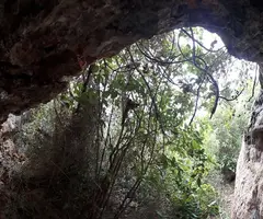 Fotografia de XACÓ, COVA FÒSSIL Nº1 DEL (3 de 3)