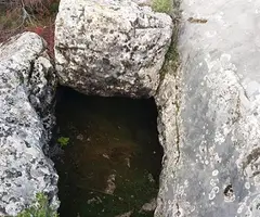 Fotografía de OS, FORAT D' (1 de 3)