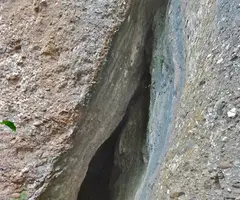 Photographie de HORT DELS MONJOS, COVES DE L' (3 sur 4)