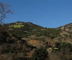 Fotografia de PIGAL DEL LLAMP, FORAT DEL (1 de 4)