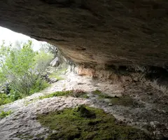 Fotografia de PANÍS, COVA D'EN (3 de 4)