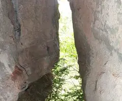 Photographie de GRANOTA, COVA DE LA (5 sur 5)
