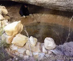 Fotografía de FIGUERA ROJA, COVA DE LA (1 de 1)