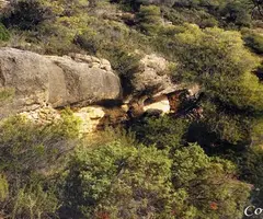 Fotografia de LLARGA, COVA (1 de 1)