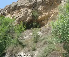 Fotografia de ABELLES, BALMA DE LES (1 de 2)