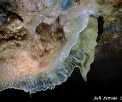Photographie de REMIGI MOLI, GRALLER D'EN (16 sur 23)
