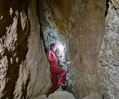 Fotografia de CINGLE DELS PINS ALTS, COVA DEL (7 de 8)