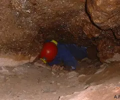 Fotografía de TOIXONS, COVA DELS (3 de 8)