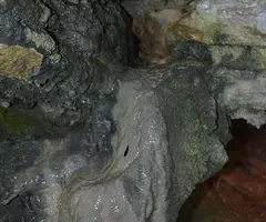 Fotografía de CATIVERA, COVA (3 de 4)