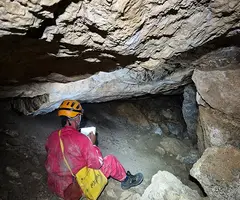Fotografia de MATA, COVA D'EN (4 de 13)