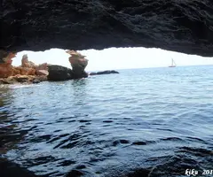 Photographie de LLOP MARÍ, COVA DEL (7 sur 7)