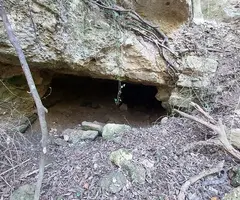 Fotografia de ULLALS DE LA CARROVA, COVA DELS (3 de 6)