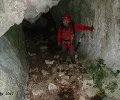 Fotografia de SIROLL, COVA DEL (1 de 4)