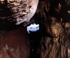 Fotografia de CASTELLASSA DEL DALMAU, COVA DE (2 de 2)