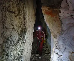 Fotografia de PEIXET, COVA D'EN (5 de 35)
