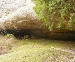 Fotografia de SORONELLES, COVA DEL (1 de 1)