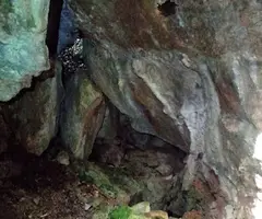 Fotografia de SALA, AVENC DE LA (2 de 2)