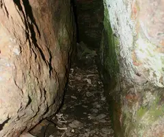 Photographie de SERRA PLANA, COVA (4 sur 6)
